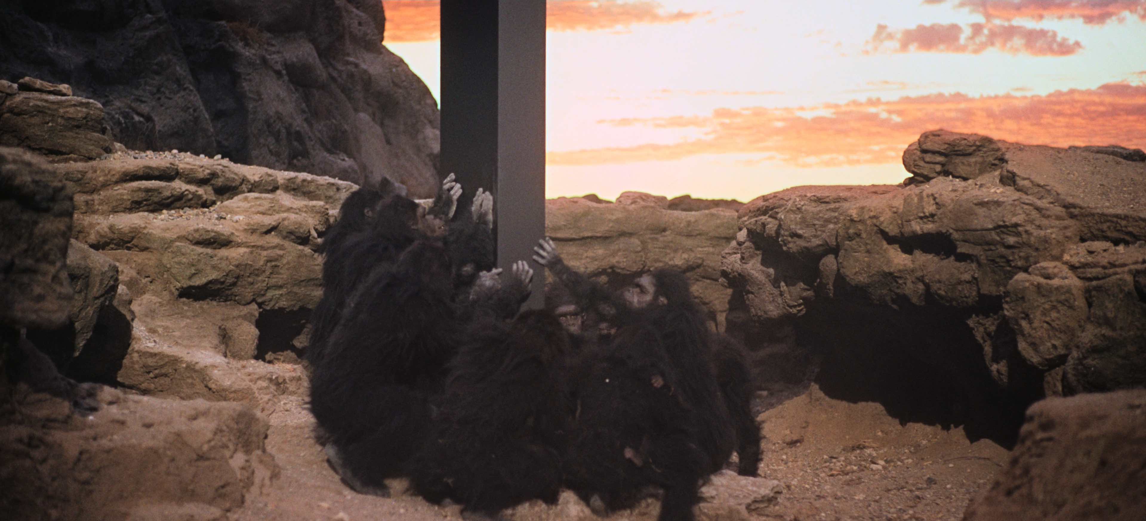 Film still from Kubrick's 2001: A Space Odyssey, showing a monolith surrounded by early hominids.