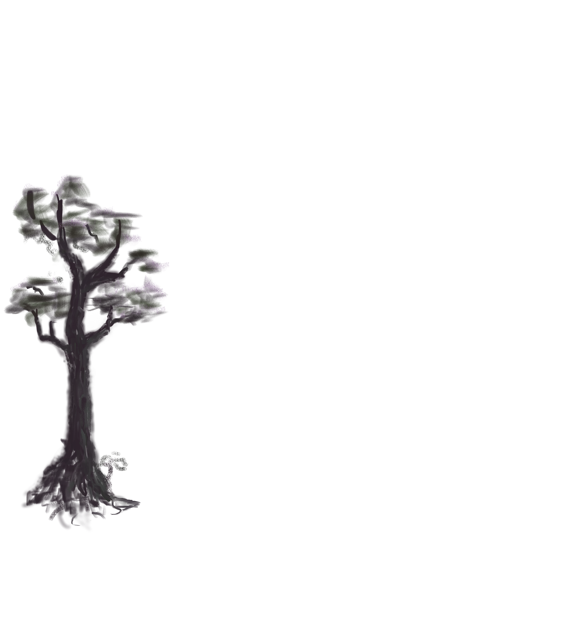 Left background dark tree