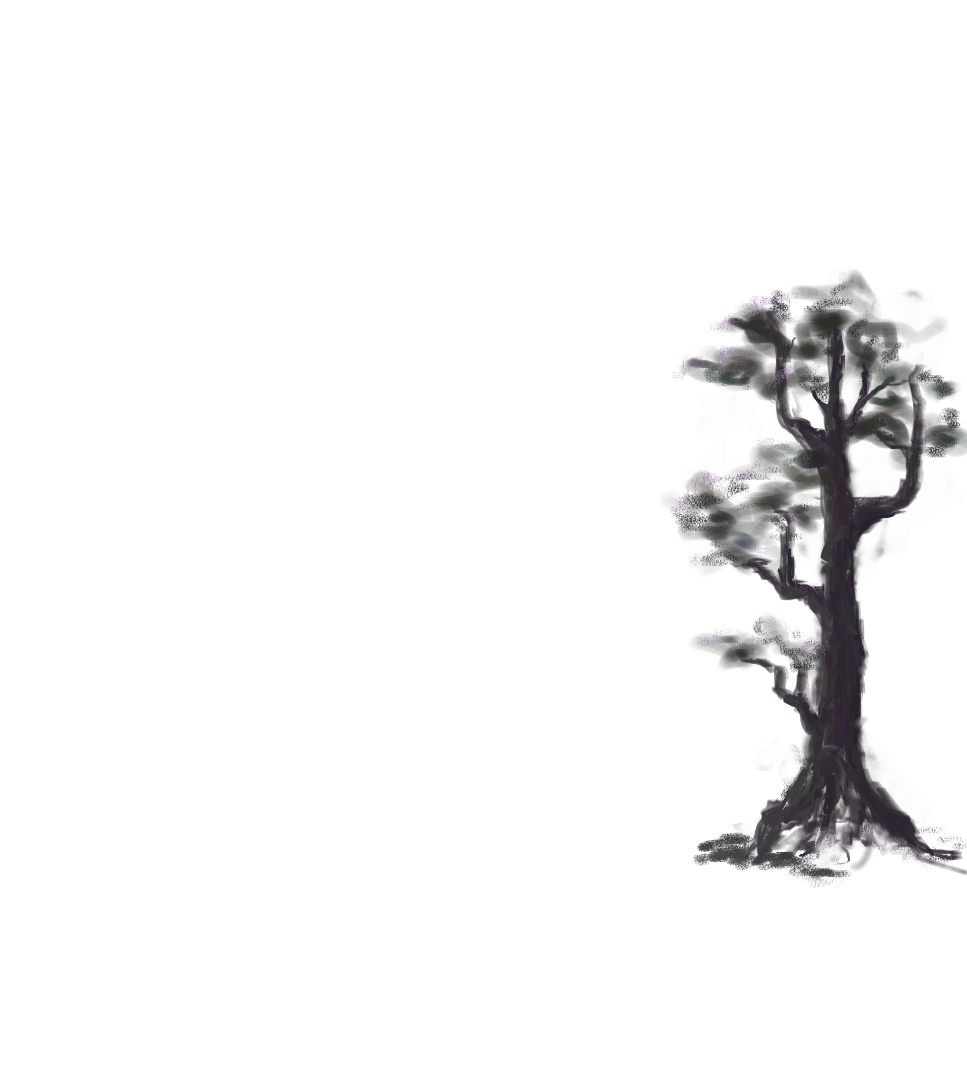 Right background dark tree